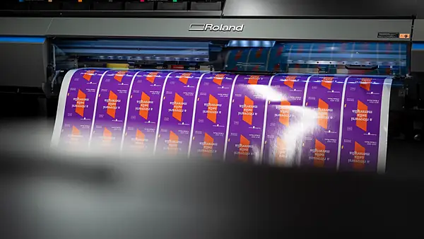 Stampa in grande formato, Plotter Roland
